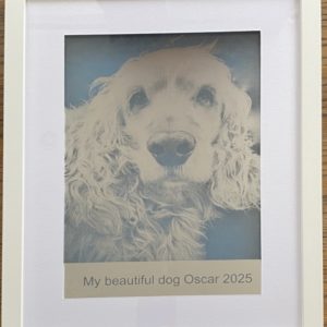 Mirror Engraved Pet Frame